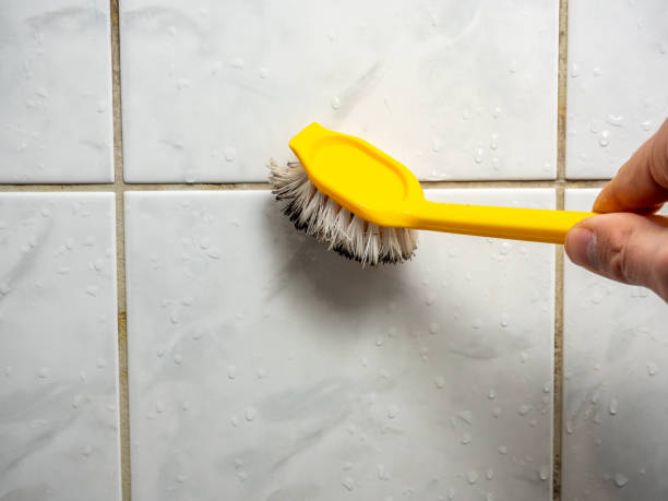 Certified Mold Removal in Montpelier, VT