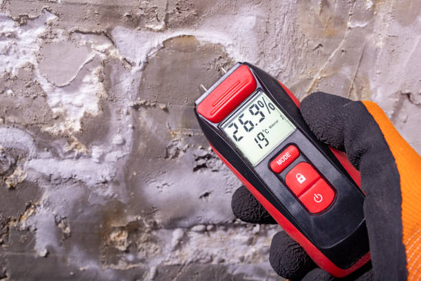 Best Local Mold Removal Service  in Montpelier, VT