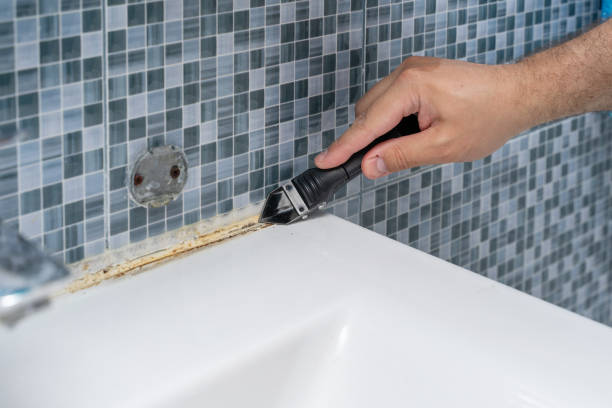 Best Mold Removal Company Near Me  in Montpelier, VT