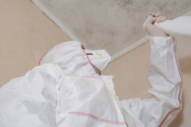 Best Commercial Mold Removal  in Montpelier, VT