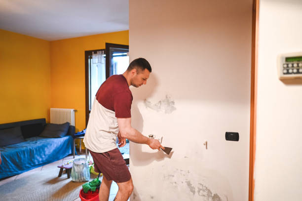 Best Mold Cleaning Services  in Montpelier, VT
