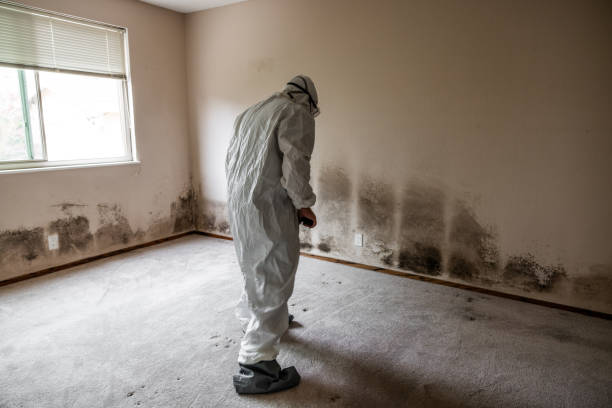 Best Mold Testing  in Montpelier, VT